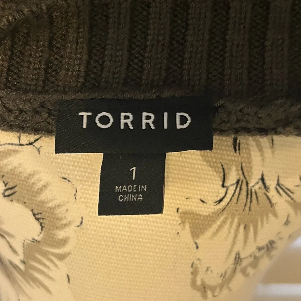 Torrid V-Neck Long Sleeve Pullover Sweater